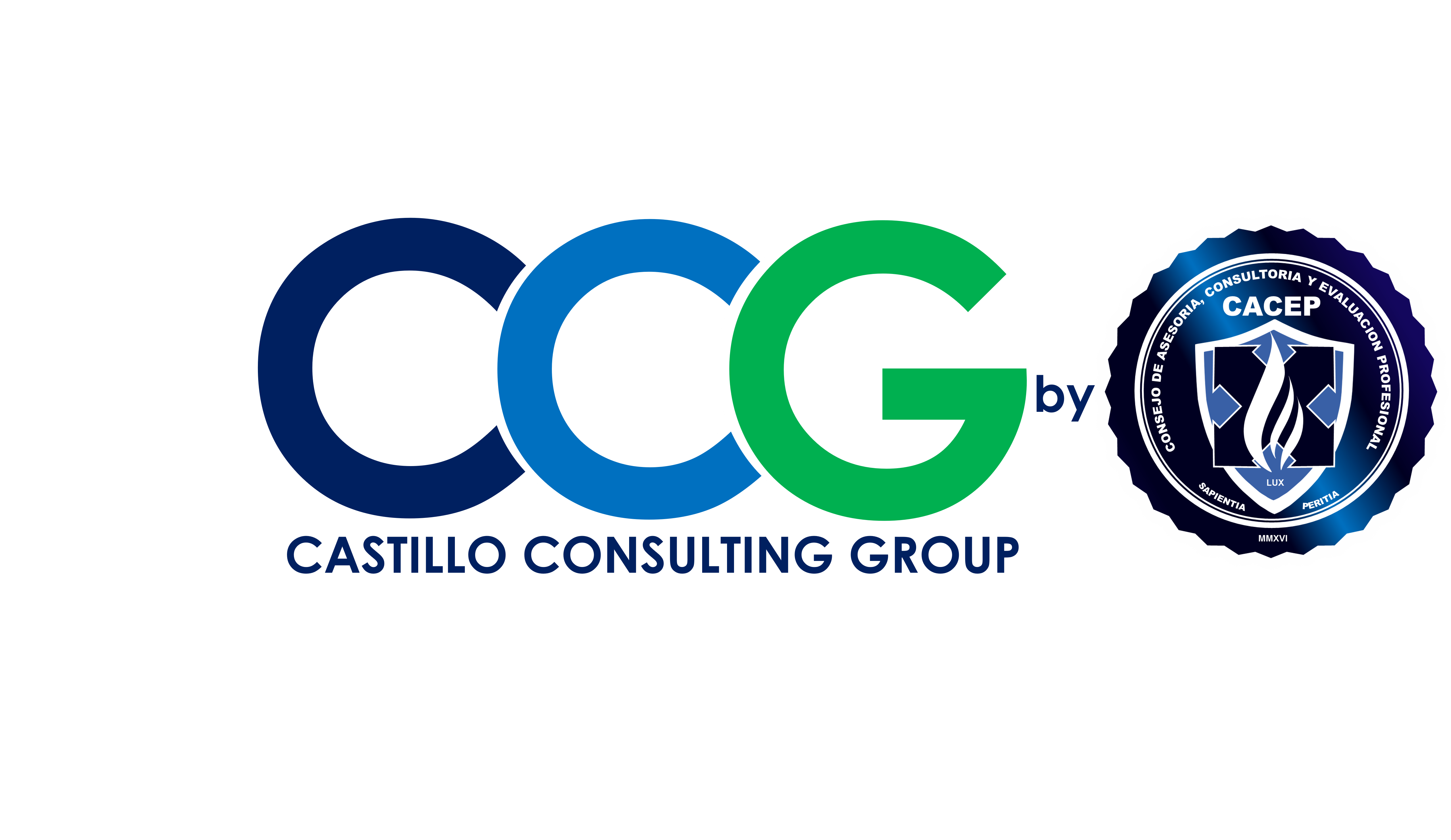 Castillo Consulting Group (CCG) - Logo
